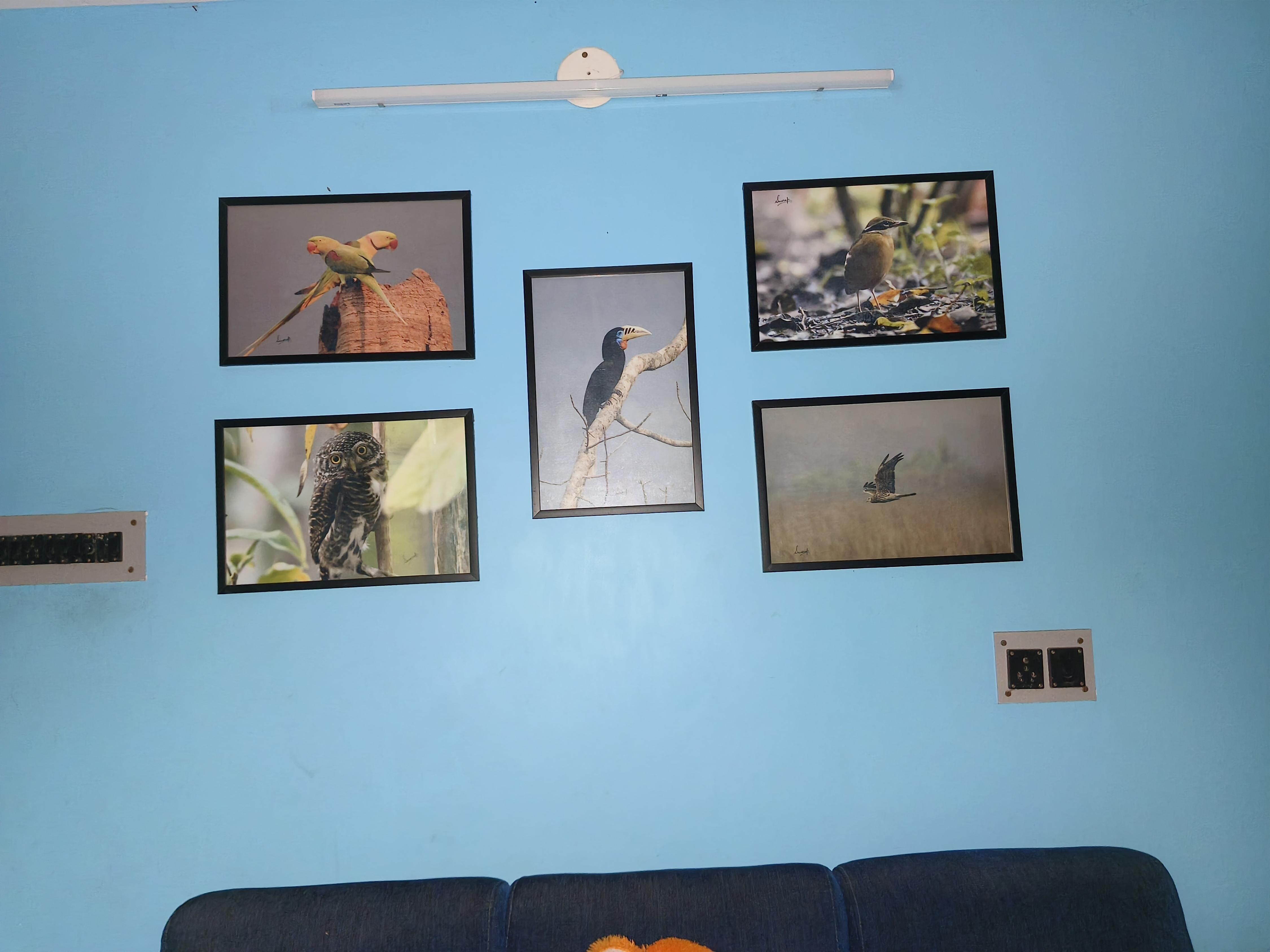 Lara home stay - Tap to explore photos