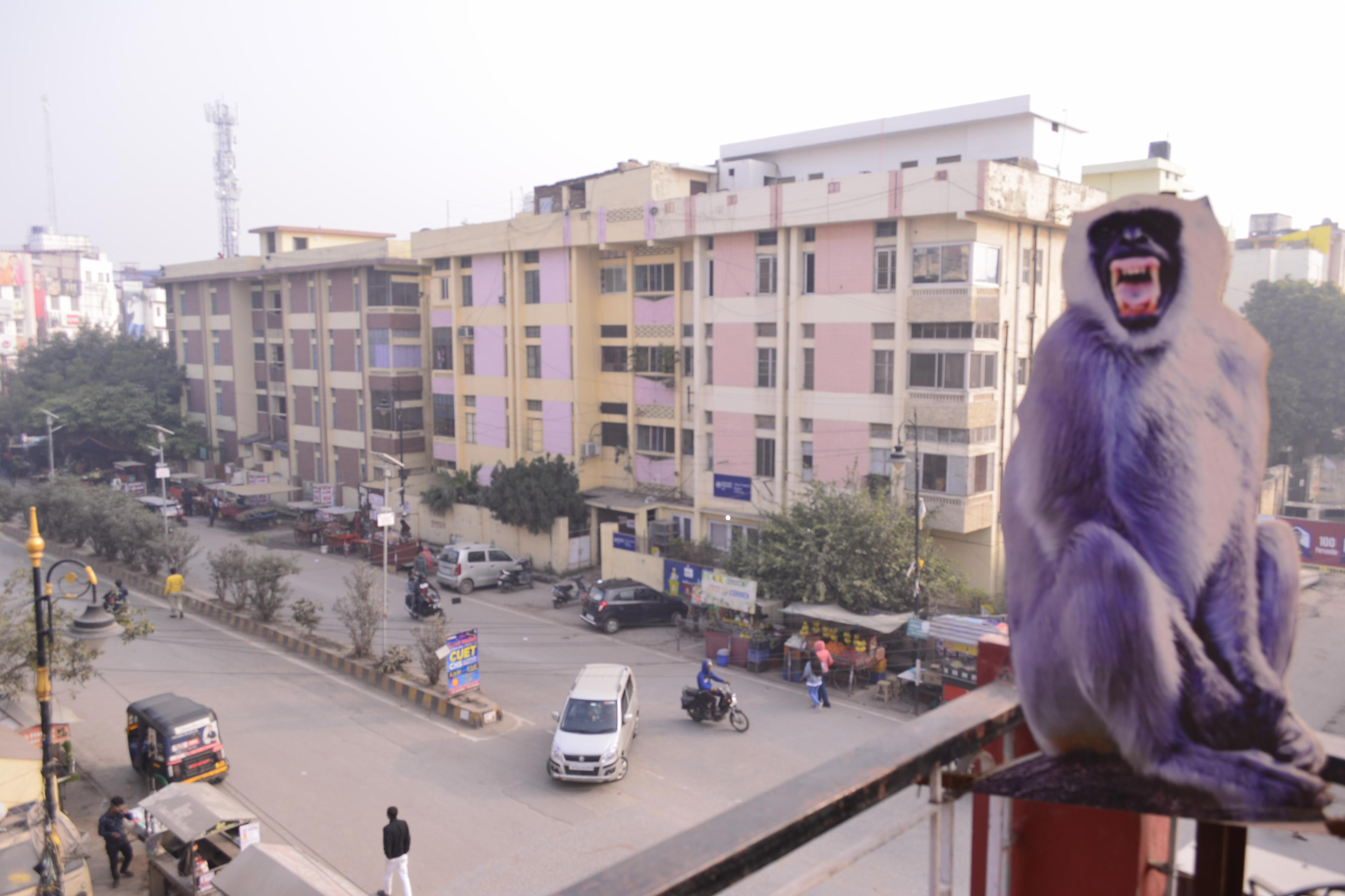 VINDHYAN BUDGET HOTEL - Tap to explore photos