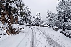 Vista Casita Ranikhet Serene Homestay Himalaya Lap Ranikhet, Ranikhet