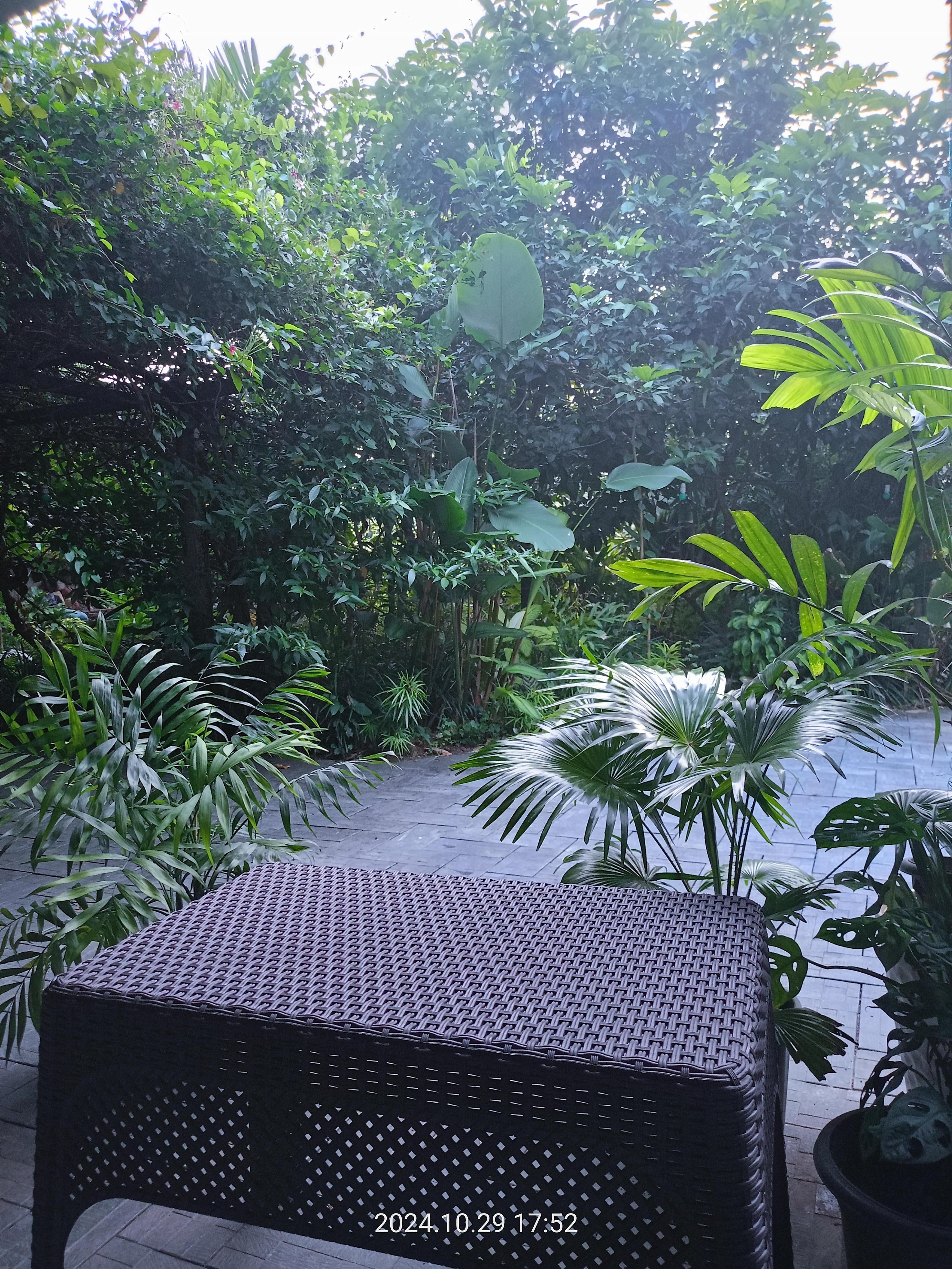 Wildfloral cottage marottichal Thrissur - Tap to explore photos