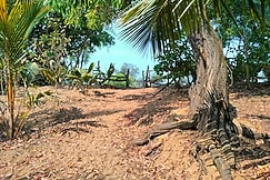 Talpona beach homestay, Goa