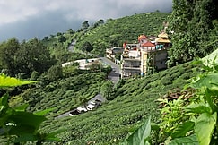 Traditional Hotel, Siliguri