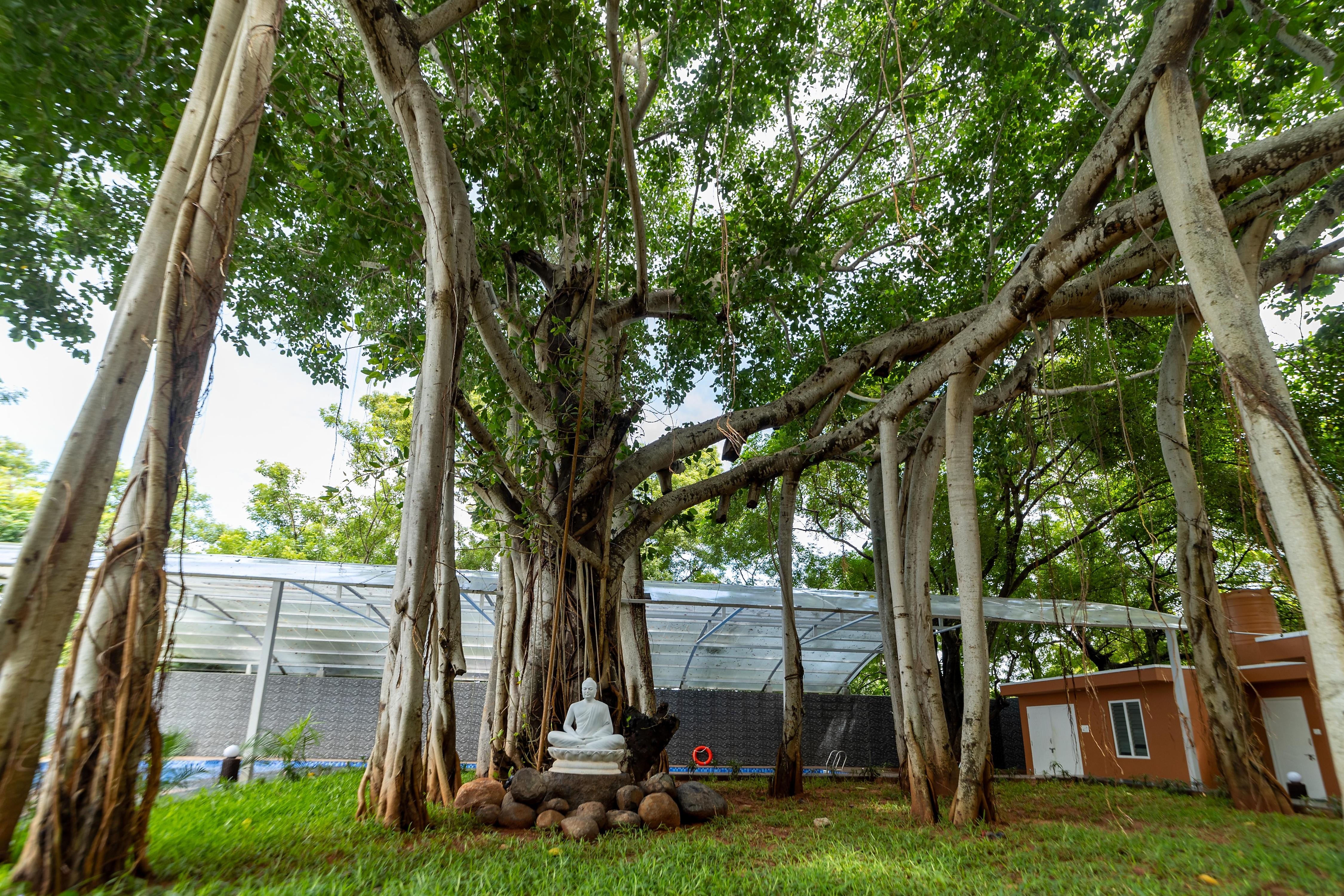 MAGIZHVANAM RESORT - Tap to explore photos