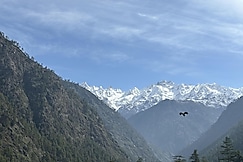 Peace Inn Cafe & Hostel, Kasol