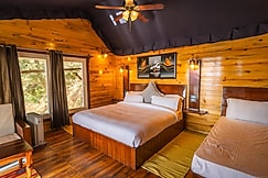 Skydrift - A 3 Bed Barbet Treehouse, Mussoorie, Kanatal