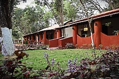 Bastar Greens Eco Stays