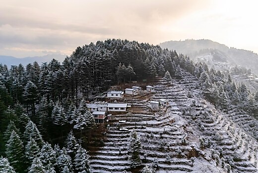 The Deodar Stay Kanatal