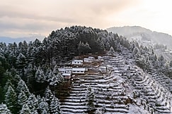 The Deodar Stay Kanatal, Kanatal