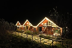 Himalayan Cedar Nest, Sainj