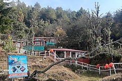 The Green Leaf Himalyan Homestay, Kanatal
