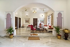 Yellow Bells, Udaipur