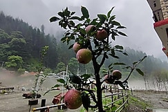 Flipsyde Retreat, Kasol