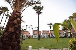 Palm Paradise, Auroville