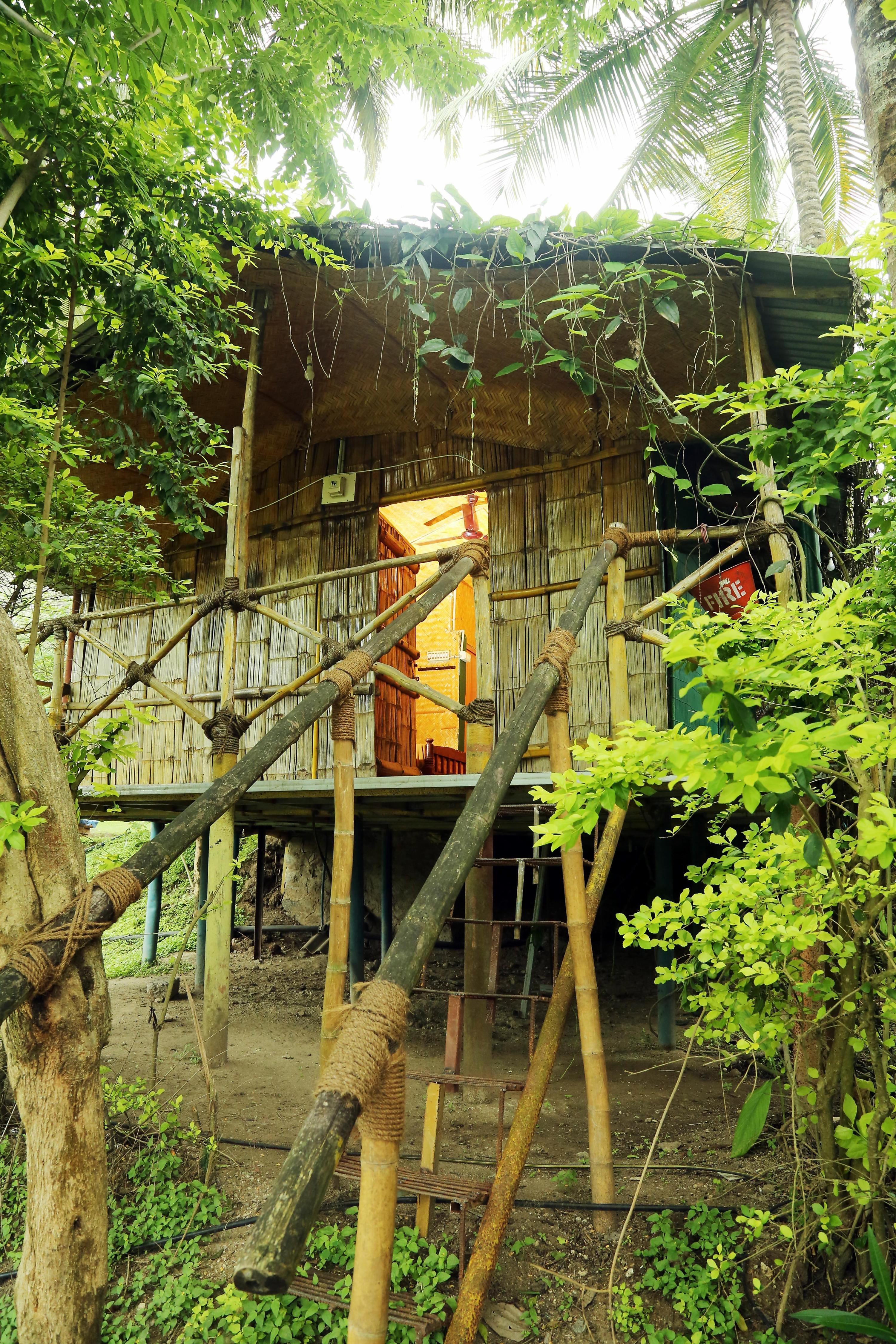 Jungle Paradise Farm - Tap to explore photos