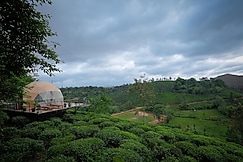 Hipnoetic Stays | Geodesic Domes & Tea Planters Bungalow, Wayanad
