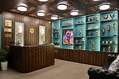 The Green Turtle, Meerut