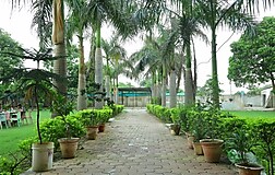 Outdoors