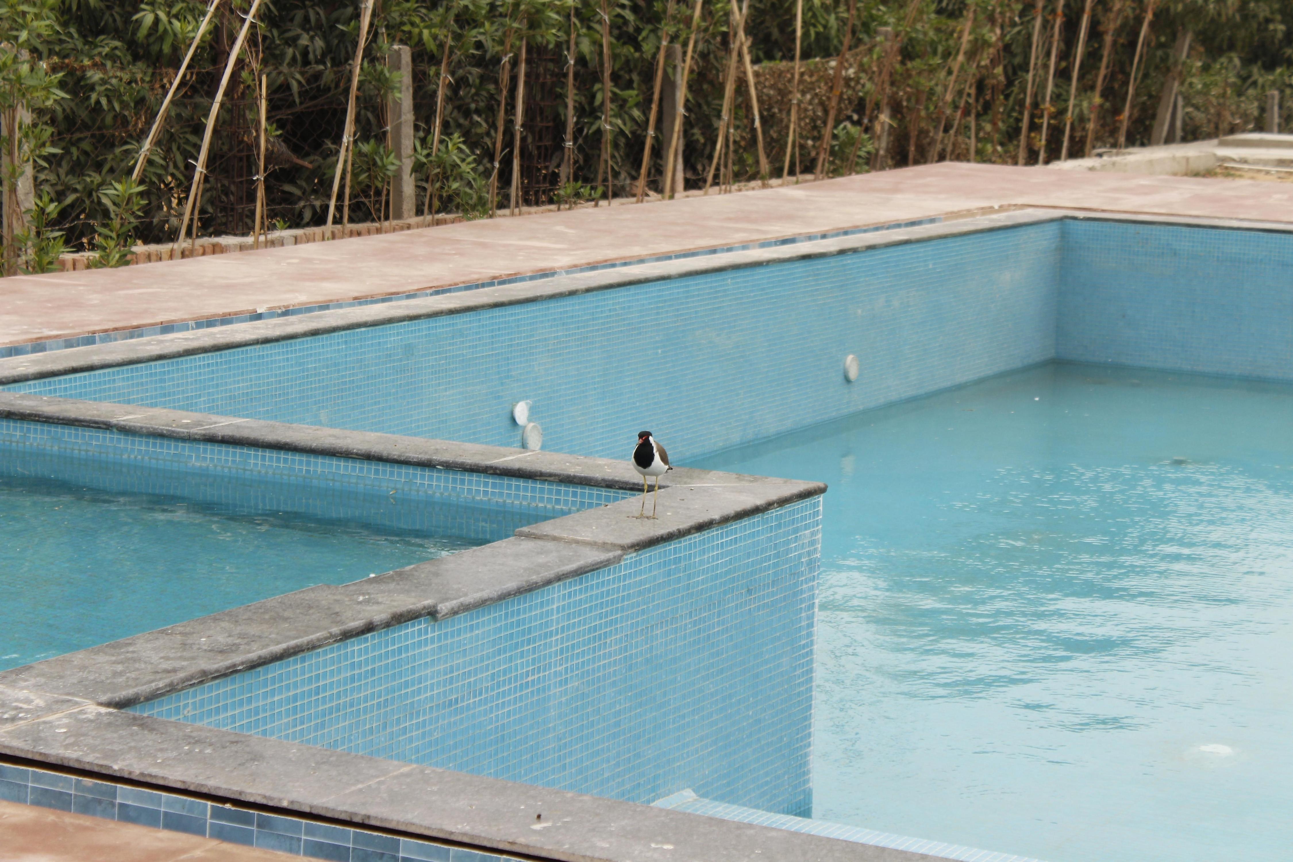 Farm Aavjo - A Conscious Stay - Tap to explore photos