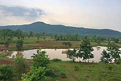 Jungle Aashiyanaa, Bareli