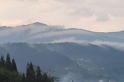 Stone & Pine Home & Farmstay, Mirik