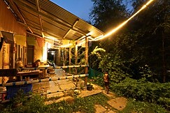 Cottage At A Walkable Distance, Jibhi