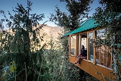 Sunny Treehouse, Sainj