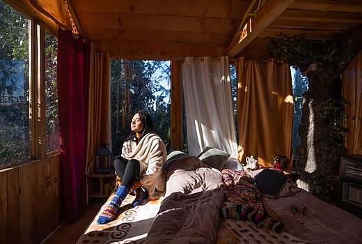 Sunny Treehouse