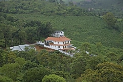 Grace Homestay Stay, Kuttikkanam