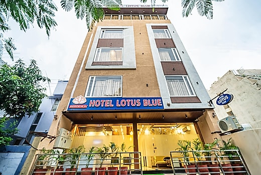 Treebo Lotus Blue