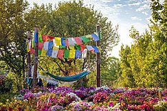 Dormigo Hostel Bir Biling, Bir Billing