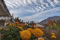 Mountain Camping Resort Ladakh, Nubra Valley