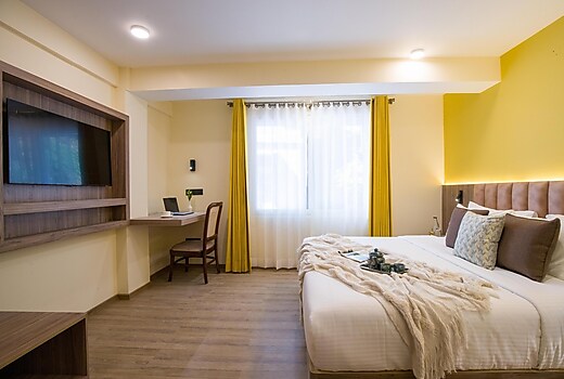 Premium 1 BHK Apartment With Forest View in Shimla