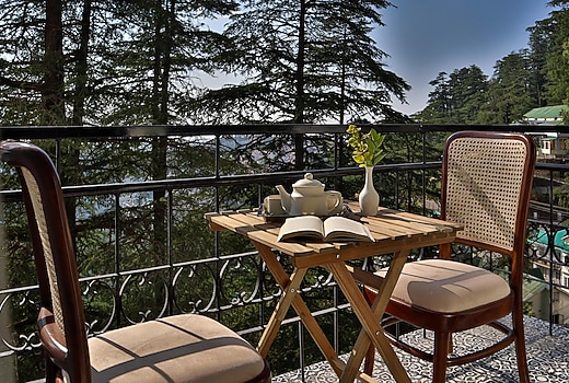 Premium 1 BHK Apartment with Balcony & Forest View