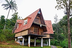 Nest, Kattappana