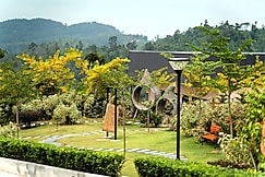 Monkeys Canopy Resort, Kuantan
