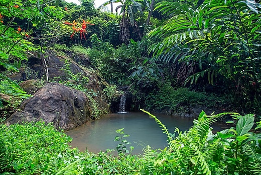 Mudhouse Stay 1 by Greenara