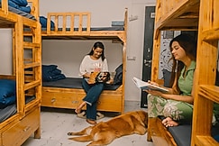 Urban Loft Hostel Rishikesh, Rishikesh