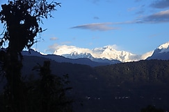 Red Panda Jungle Camp, Pelling