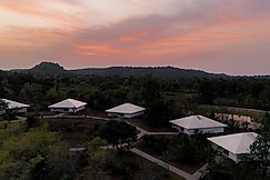 Tree of Life Ramvilas, Bandhavgarh, Bandhavgarh