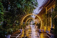 Havana Pushkar, Pushkar