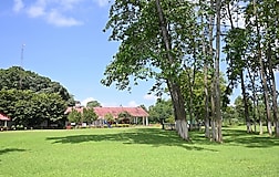 Outdoors