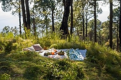 Hemkunj Fern by ELIVAAS, Chail