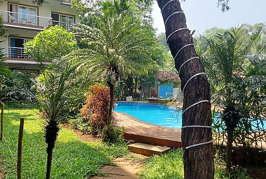Ivy Retreat   Start