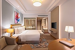 Park Plaza Jalandhar, Phagwara