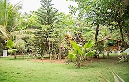 Outdoors