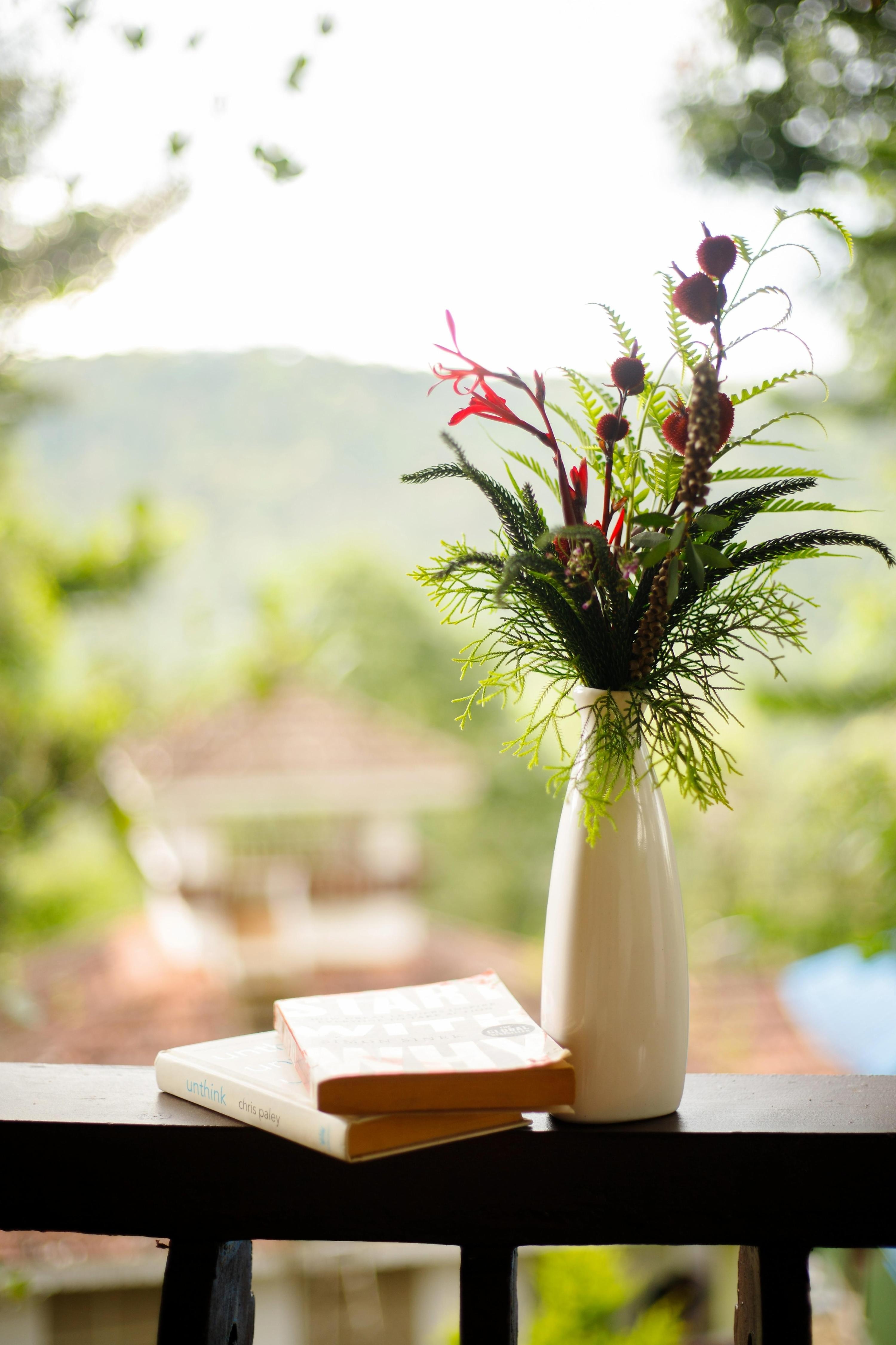 Disha Resorts - Tap to explore photos