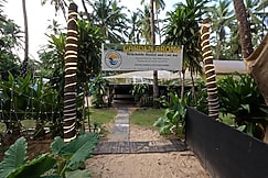 Garden Aroma Palolem, Beachside Hostel & Cafe, Goa