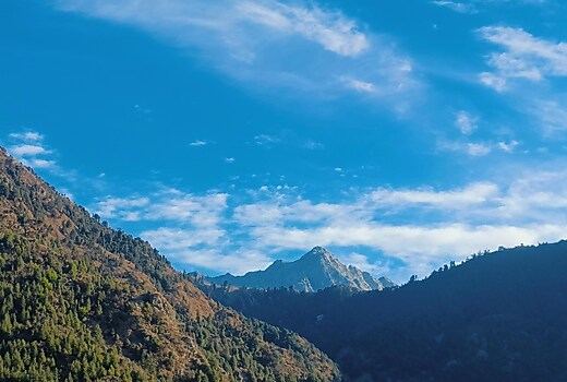 Triund View Homestay near Bhagsu Waterfall
