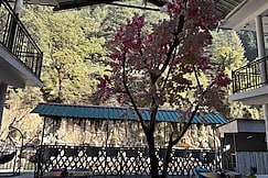 Hom House Of Mannmauji Riverside, Kasol