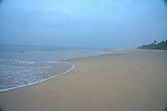 Dolphins Turf, Alleppey